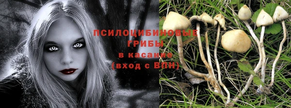 тгк Абинск