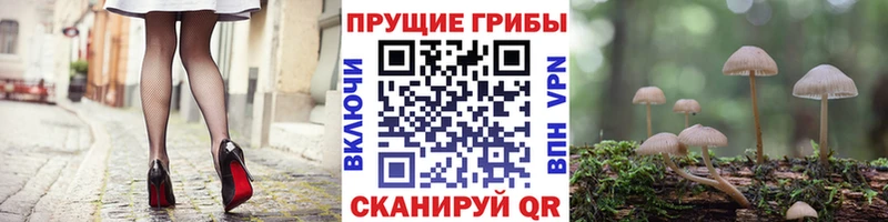 Псилоцибиновые грибы GOLDEN TEACHER  Иннополис 